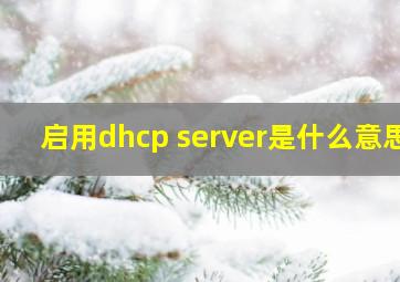 启用dhcp server是什么意思